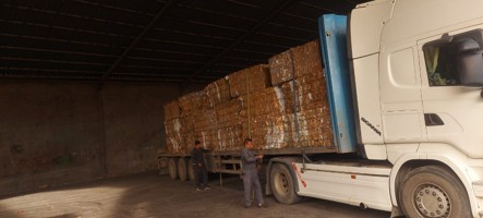 Our Commitment to Environmental Sustainability